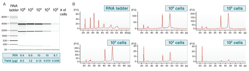 [NEB]RNA Extraction kit