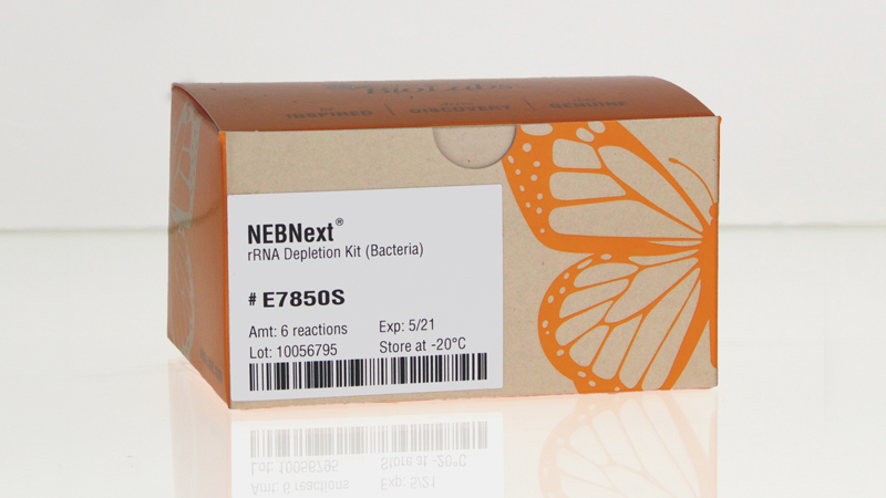 NEBNext rRNA Depletion Kit (Bacteria)