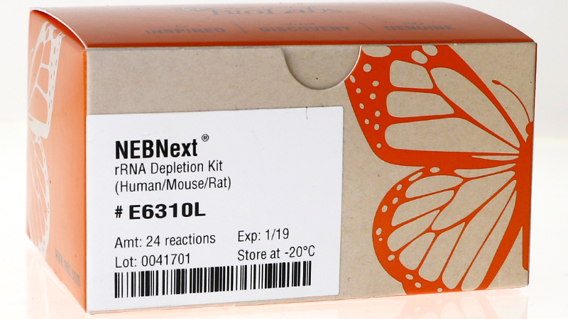 NEBNext rRNA Depletion Kit