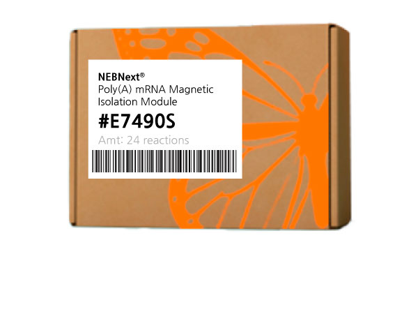 NEBNext® Poly(A) mRNA Magnetic Isolation Module