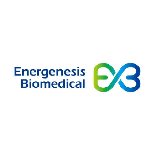 energenesis