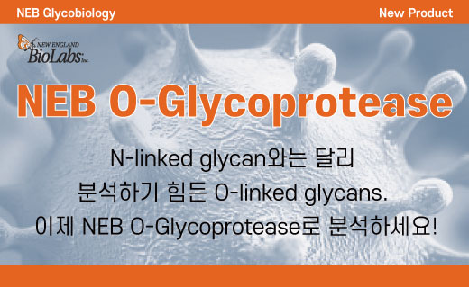 NEB이미지 Glycobiology3