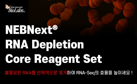 NEB이미지 Next Generation Sequencing Library Preparation10