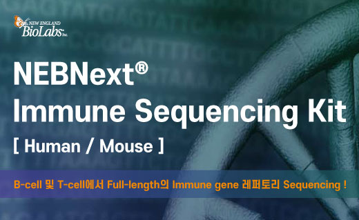 NEB이미지 Next Generation Sequencing Library Preparation11