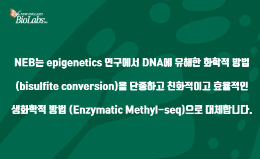 NEB이미지 Next Generation Sequencing Library Preparation14