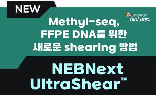 NEB이미지 Next Generation Sequencing Library Preparation18