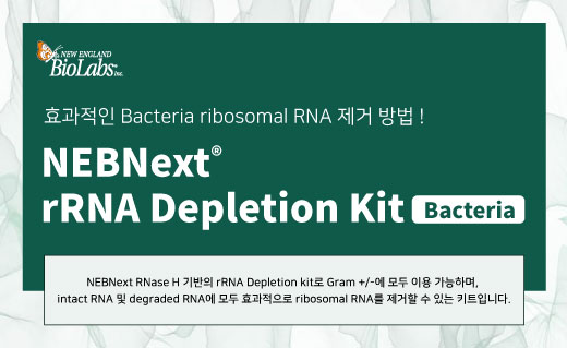 NEB이미지 Next Generation Sequencing Library Preparation8
