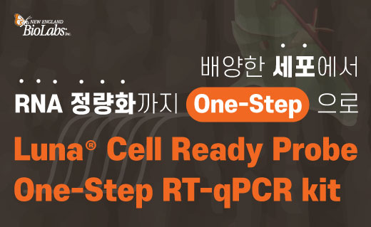 NEB이미지 PCRqPCRAmplificationTechnologies6