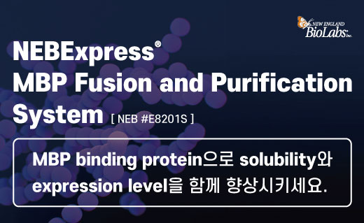 NEB이미지 ProteinExpression3