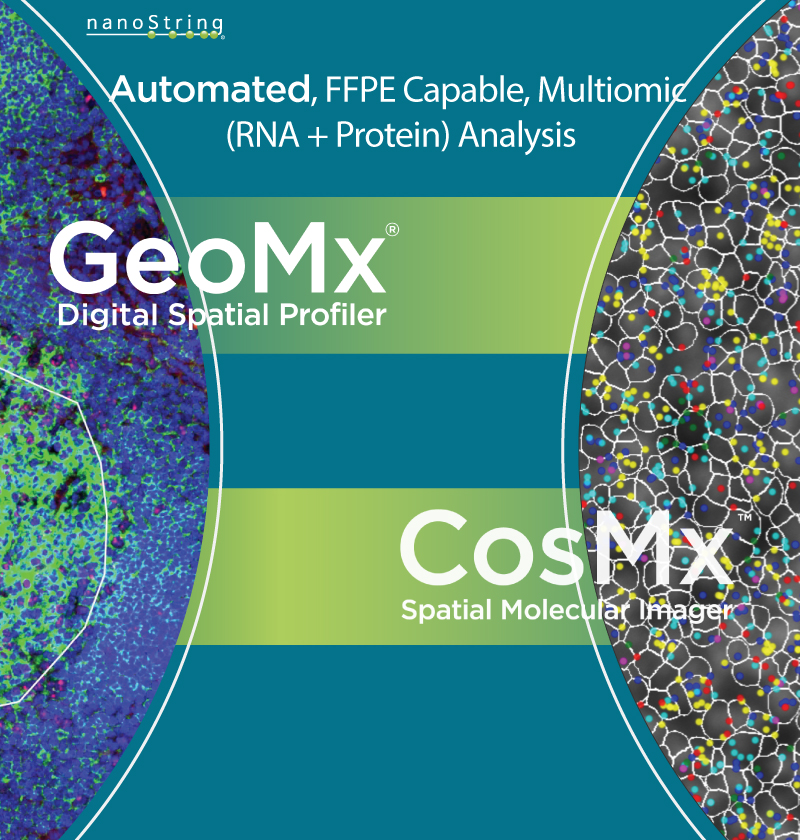 GeoMx™ Digital
                                                              Spatial Assay