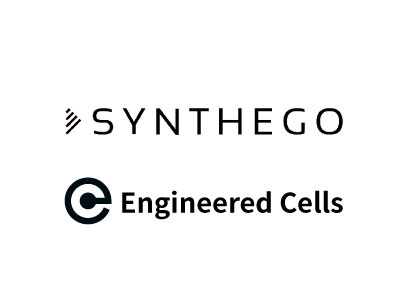 [Synthego]ENGINEERING CELL
