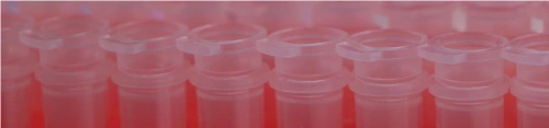 Nucleic Acid Purification Products